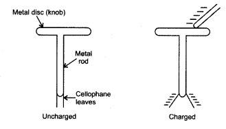 NCERT Solutions for Class 8 Science Chapter 15 Some Natural Phenomena 3 Marks Q20