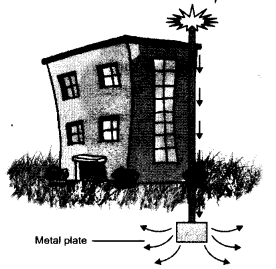 NCERT Solutions for Class 8 Science Chapter 15 Some Natural Phenomena 5 Marks Q7