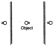 NCERT Solutions for Class 8 Science Chapter 16 Light 2 Marks Q10