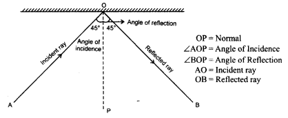 NCERT Solutions for Class 8 Science Chapter 16 Light 3 Marks Q16