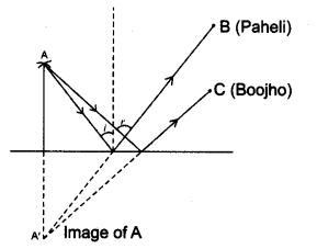 NCERT Solutions for Class 8 Science Chapter 16 Light 5 Marks Q10.1