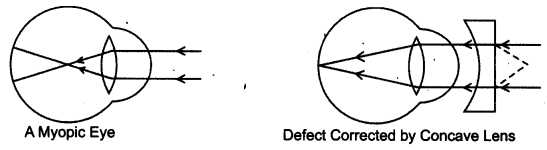 NCERT Solutions for Class 8 Science Chapter 16 Light 5 Marks Q11