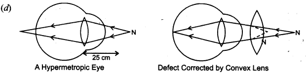 NCERT Solutions for Class 8 Science Chapter 16 Light 5 Marks Q12