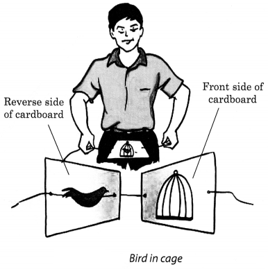 NCERT Solutions for Class 8 Science Chapter 16 Light Activity 10