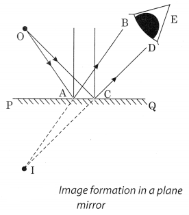 NCERT Solutions for Class 8 Science Chapter 16 Light Activity 3