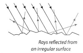 NCERT Solutions for Class 8 Science Chapter 16 Light Activity 4.1