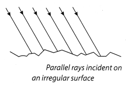 NCERT Solutions for Class 8 Science Chapter 16 Light Activity 4