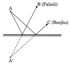 NCERT Solutions for Class 8 Science Chapter 16 Light Q17.1