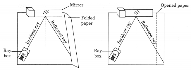 NCERT Solutions for Class 8 Science Chapter 16 Light Q5