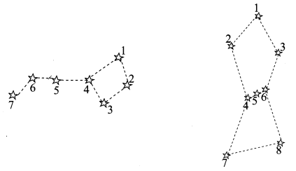 NCERT Solutions for Class 8 Science Chapter 17 Stars and The Solar System Q10