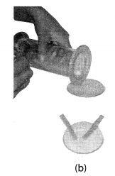 NCERT Solutions for Class 8 Science Chapter 4 Materials Metals and Non Metals Activity 4.1