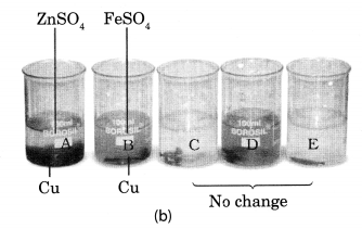 NCERT Solutions for Class 8 Science Chapter 4 Materials Metals and Non Metals Activity 8.1