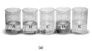 NCERT Solutions for Class 8 Science Chapter 4 Materials Metals and Non Metals Activity 8