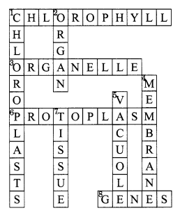 NCERT Solutions for Class 8 Science Chapter 8 Cell Structure and Functions Q10