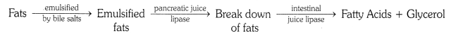 NCERT Solutions for Class 10 Science Chapter 6 Life Processes Chapter End Questions Q5