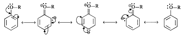 NCERT Solutions For Class 12 Chemistry Chapter 11 Alcohols Phenols and Ether Exercises Q29