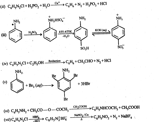 NCERT Solutions For Class 12 Chemistry Chapter 13 Amines Exercises Q11.2