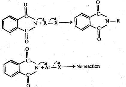 NCERT Solutions For Class 12 Chemistry Chapter 13 Amines Exercises Q12