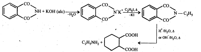 NCERT Solutions For Class 12 Chemistry Chapter 13 Amines Exercises Q7.6