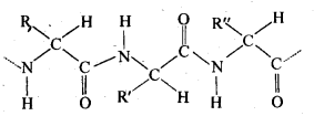 NCERT Solutions For Class 12 Chemistry Chapter 14 Biomolecules Exercises Q12.1