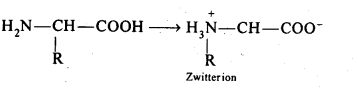 NCERT Solutions For Class 12 Chemistry Chapter 14 Biomolecules Exercises Q16