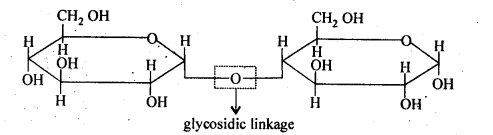 NCERT Solutions For Class 12 Chemistry Chapter 14 Biomolecules Exercises Q5