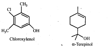 NCERT Solutions For Class 12 Chemistry Chapter 16 Chemistry in Everyday Life Exercises Q13