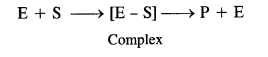 NCERT Solutions For Class 12 Chemistry Chapter 16 Chemistry in Everyday Life Exercises Q2