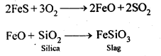 NCERT Solutions For Class 12 Chemistry Chapter 6 General Principles and Processes of Isolation of Elements Exercises Q17