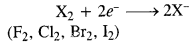 NCERT Solutions For Class 12 Chemistry Chapter 7 The p Block Elements Exercises Q23