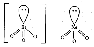 NCERT Solutions For Class 12 Chemistry Chapter 7 The p Block Elements Exercises Q38.2