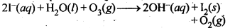 NCERT Solutions For Class 12 Chemistry Chapter 7 The p Block Elements Textbook Questions Q19