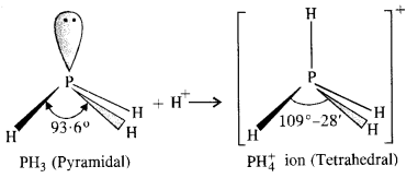 NCERT Solutions For Class 12 Chemistry Chapter 7 The p Block Elements Textbook Questions Q7