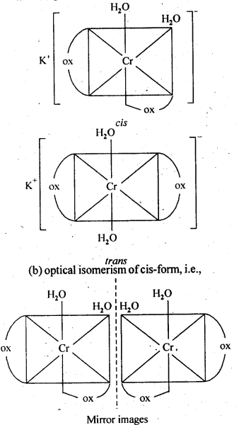 NCERT Solutions For Class 12 Chemistry Chapter 9 Coordination Compounds Intext Questions Q3