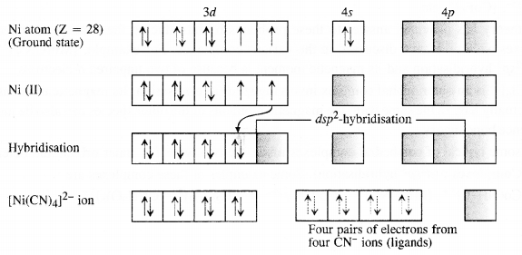 NCERT Solutions For Class 12 Chemistry Chapter 9 Coordination Compounds Intext Questions Q5