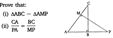 NCERT Solutions For Class 10 Maths Chapter 6 Triangles Ex 6.1 Q13