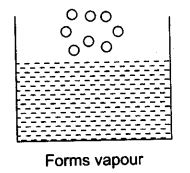 NCERT Solutions For Class 9 Science Chapter 1 Matter in Our Surroundings SAQ Q17