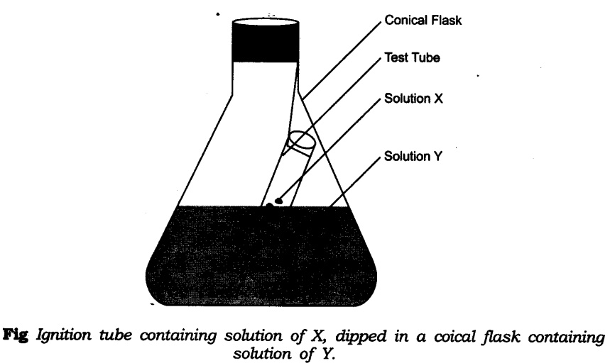 NCERT Solutions For Class 9 Science Chapter 3 Atoms and Molecules Activity Based Q1