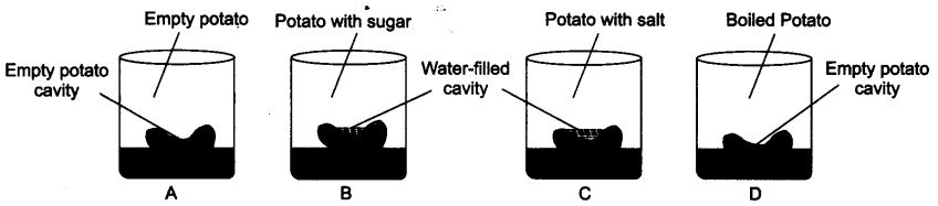 NCERT Solutions For Class 9 Science Chapter 5 The Fundamental Unit of Life Textbook Questions Q9