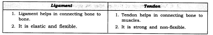 NCERT Solutions For Class 9 Science Chapter 6 Tissues SAQ Q13