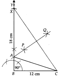 NCERT Solutions for Class 9 Maths Chapter 11 Constructions Ex 11.2 Q5