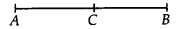 NCERT Solutions for Class 9 Maths Chapter 5 Introduction to Euclid Geometry Ex 5.1 Q4