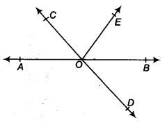 NCERT Solutions for Class 9 Maths Chapter 6 Lines and Angles Ex 6.1 Q1