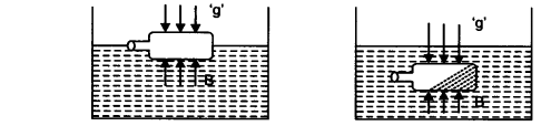 NCERT Solutions for Class 9 Science Chapter 10 Gravitation Activity Based Q1