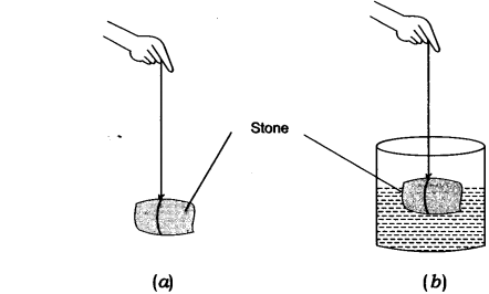 NCERT Solutions for Class 9 Science Chapter 10 Gravitation Activity Based Q4