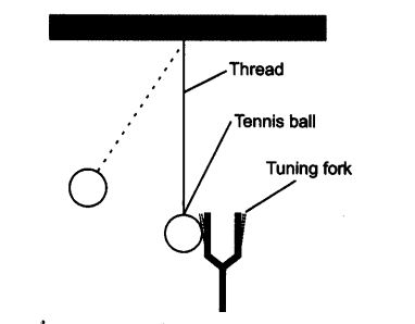 NCERT Solutions for Class 9 Science Chapter 12 Sound Activity Based Q1