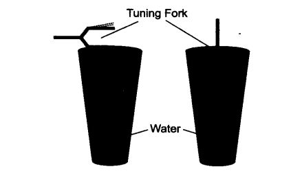 NCERT Solutions for Class 9 Science Chapter 12 Sound Activity Based Q2