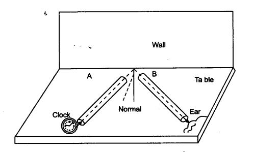 NCERT Solutions for Class 9 Science Chapter 12 Sound Activity Based Q4