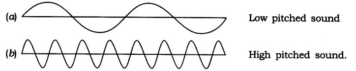 NCERT Solutions for Class 9 Science Chapter 12 Sound SAQ Q10