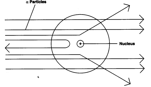 NCERT Solutions for Class 9 Science Chapter 4 Structure of Atom LAQ Q3